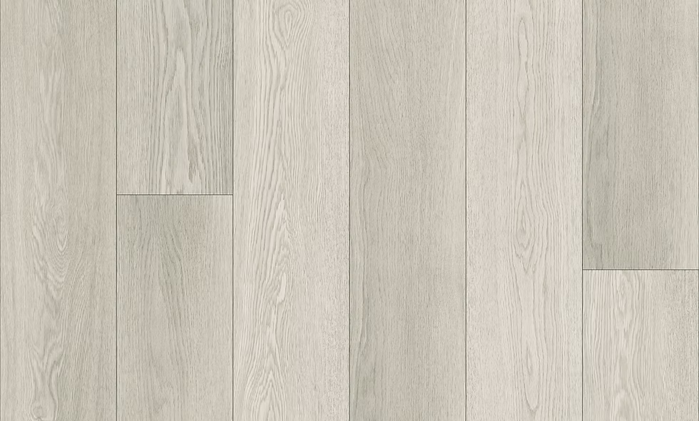 701 Sandy Shell