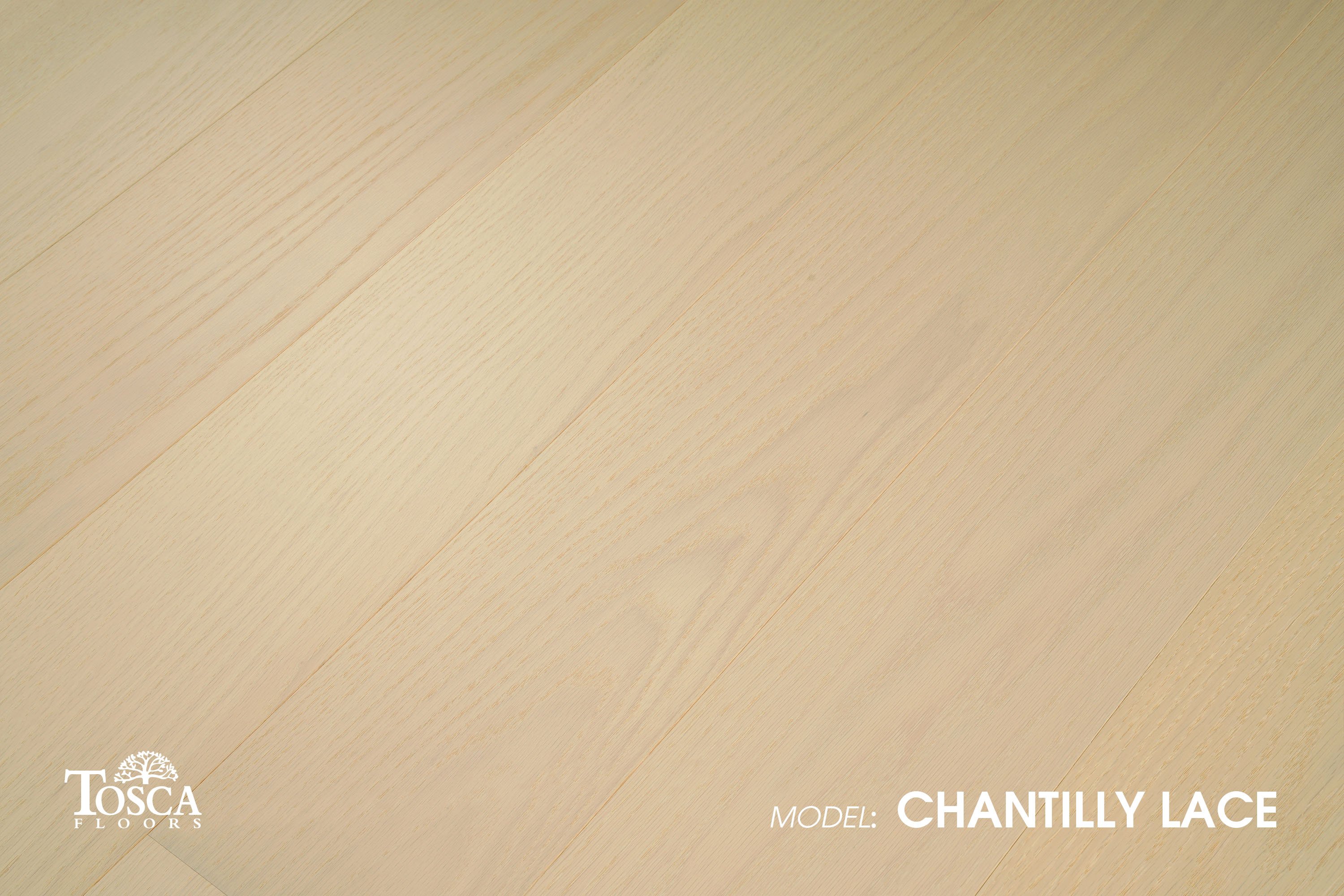 Chantilly Lace