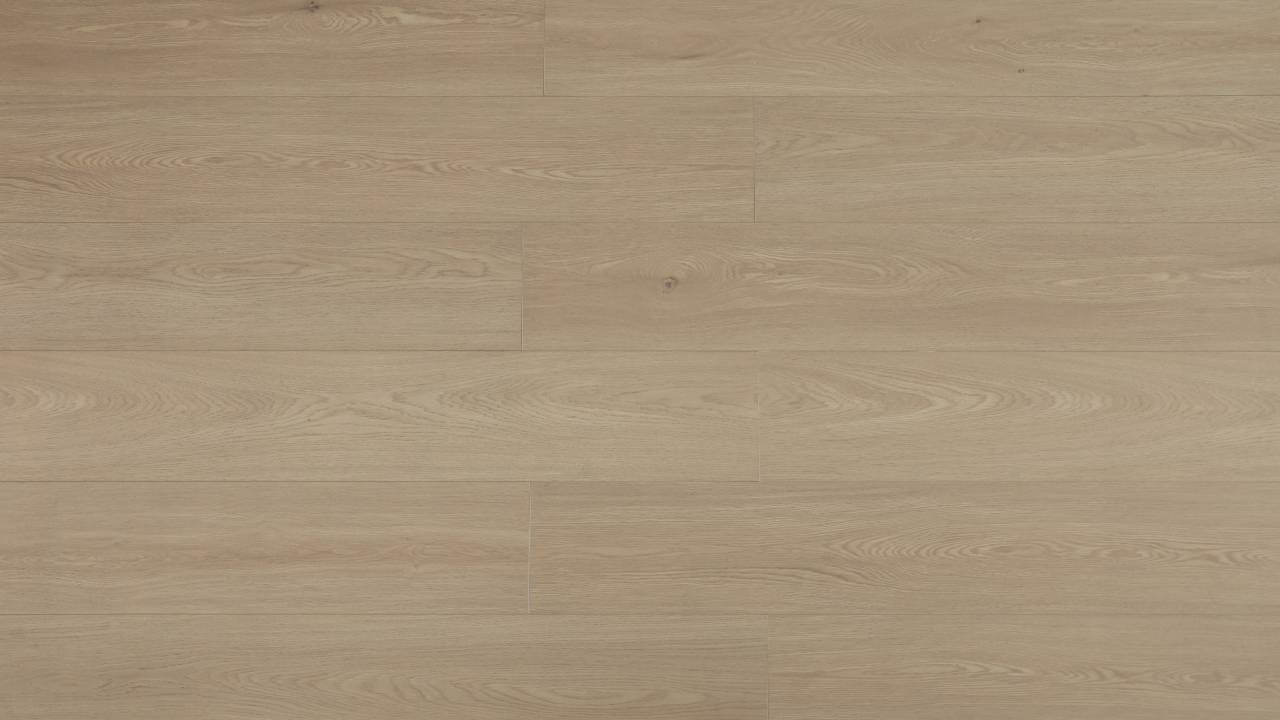 Collection-NK25