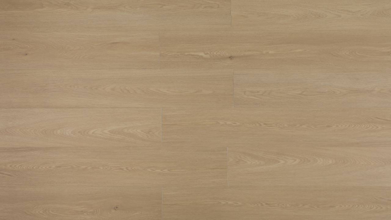 Collection-SD25
