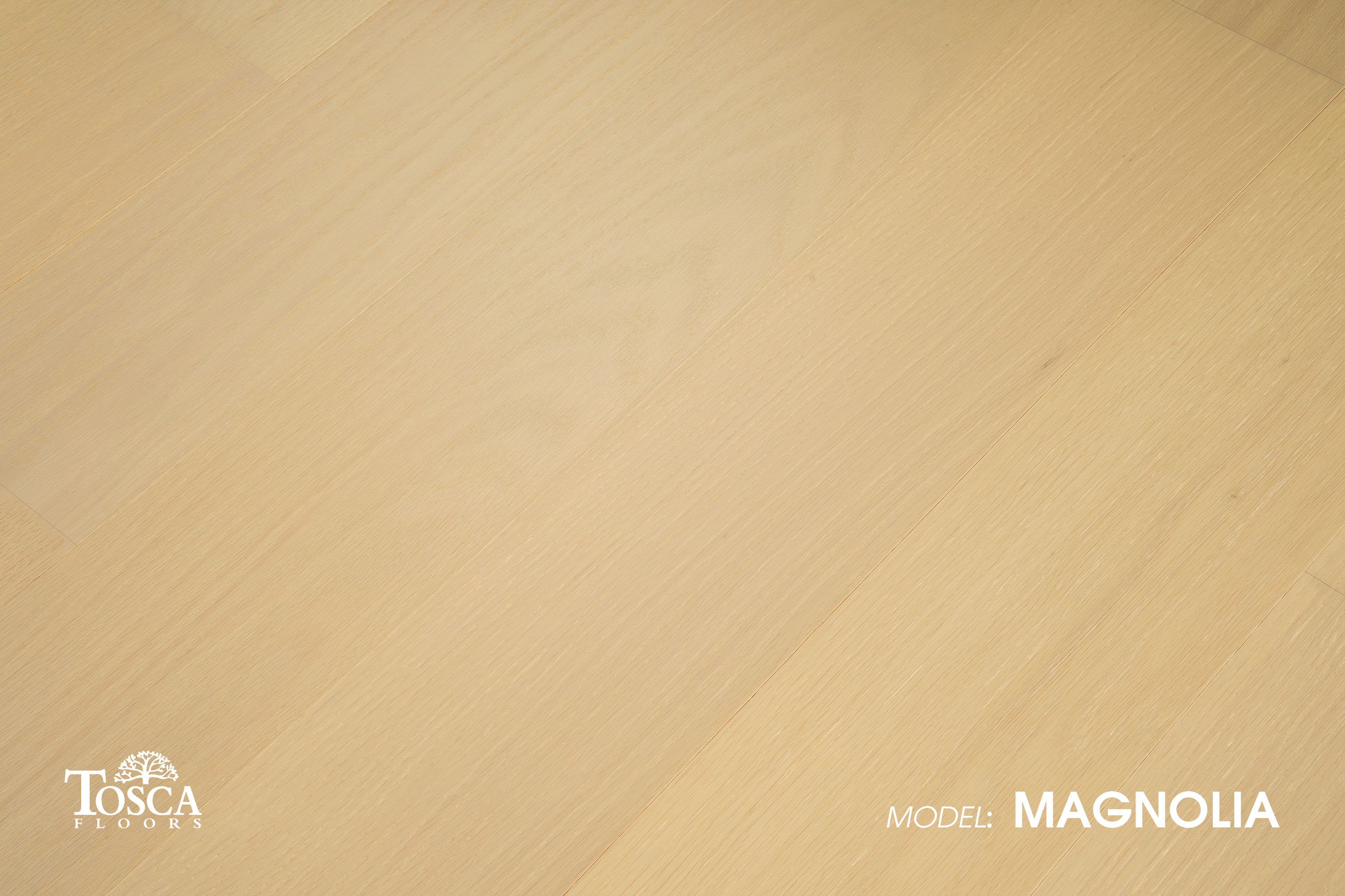 Magnolia