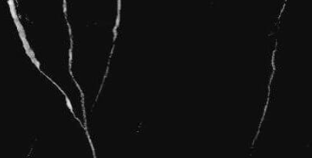Forest Black