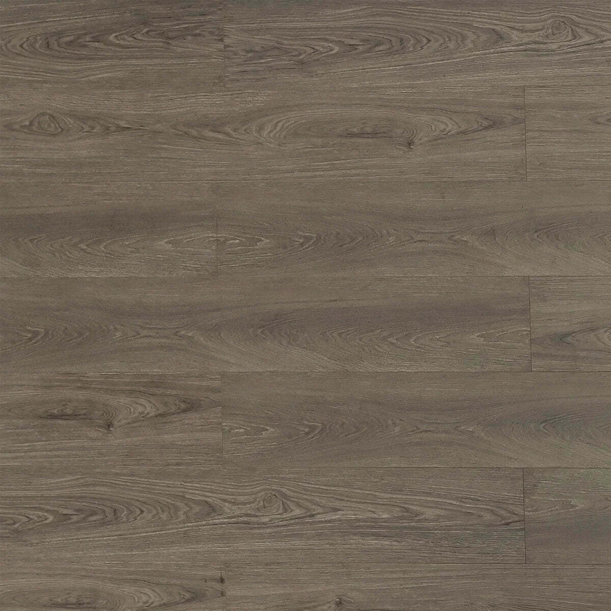 TF8302-F | Beaver