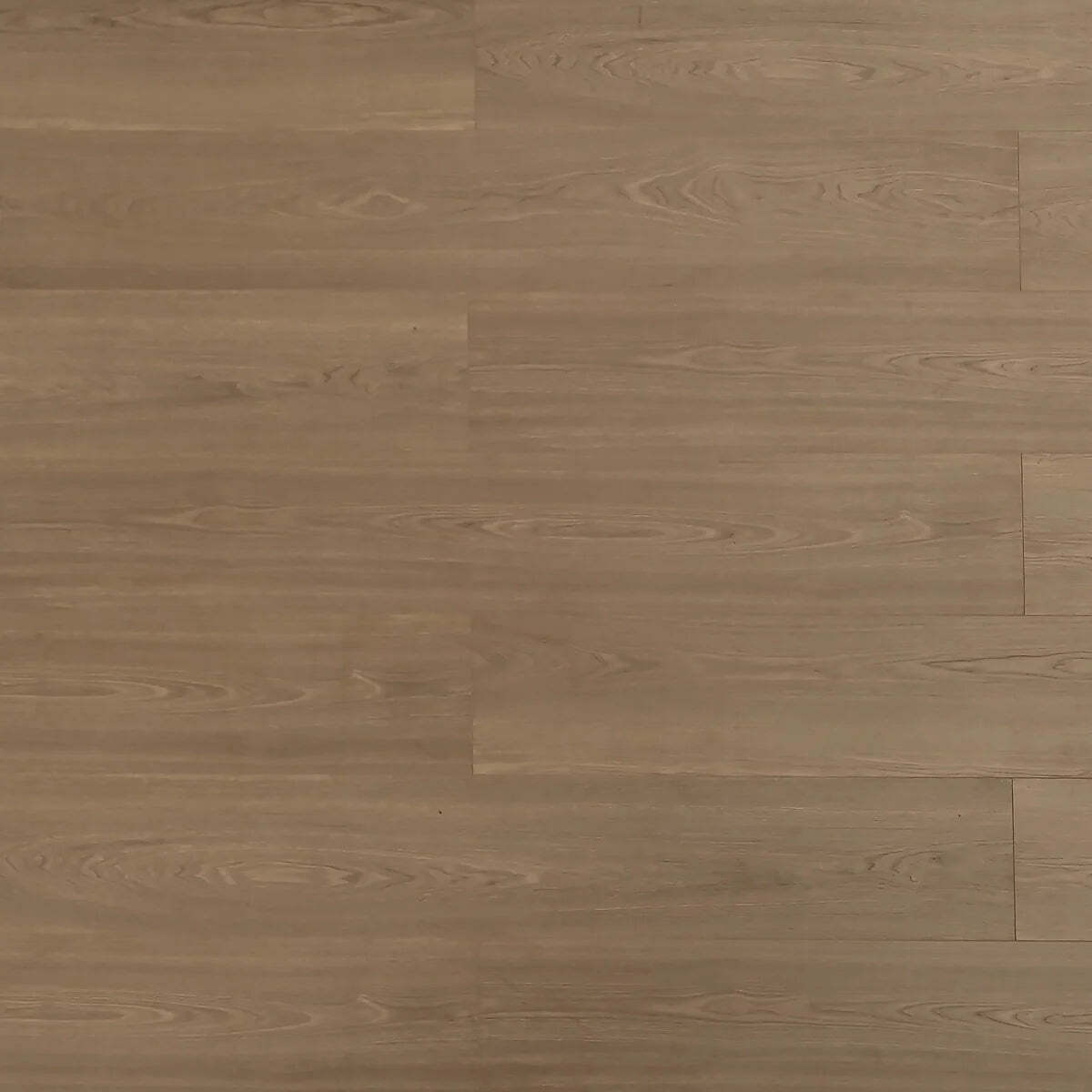 TF8309-F | Grizzly