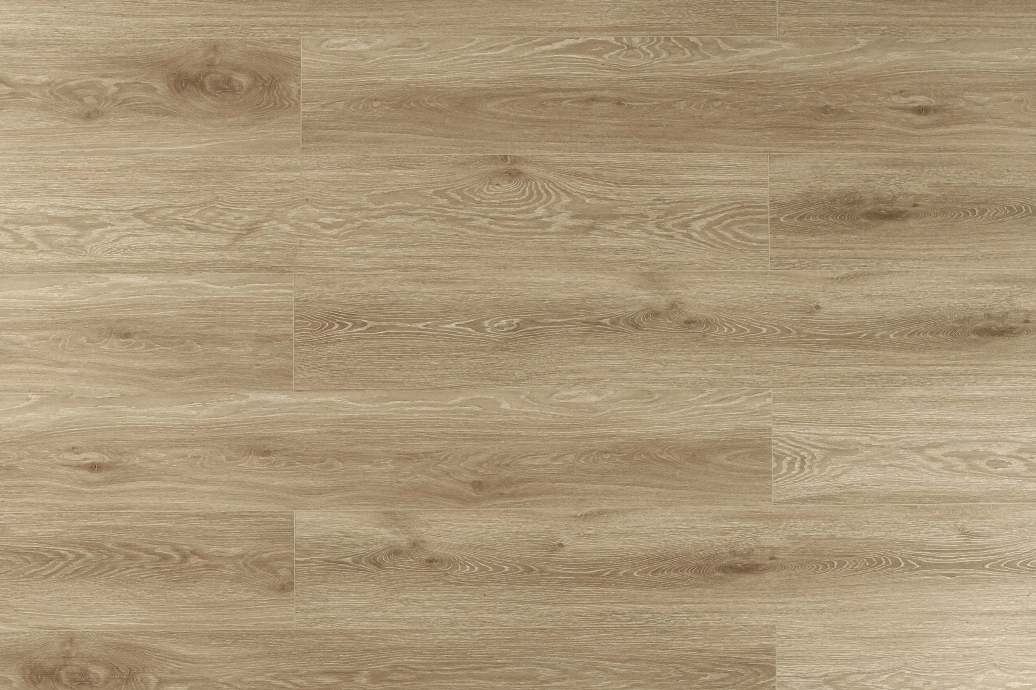 TFSPC506-F | Fawn